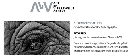 Art en vielle ville Genève - exposition "Regards"