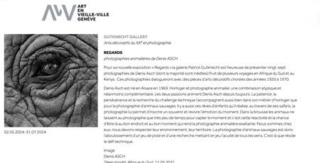 Art en vielle ville Genève - exposition "Regards"