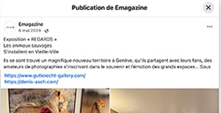 E-magazine - article Facebook - Vernissage de l'exposition "Regards"